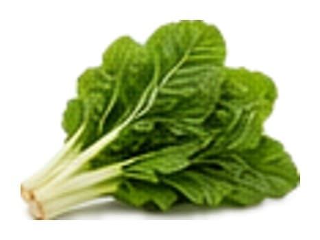 Acelga