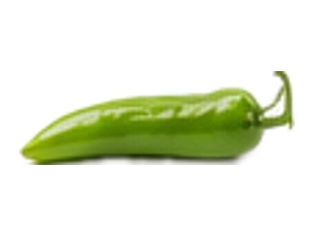 Green pico de loro pepper