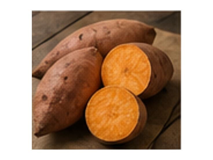 Camote