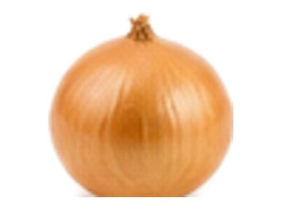 Cebolla
