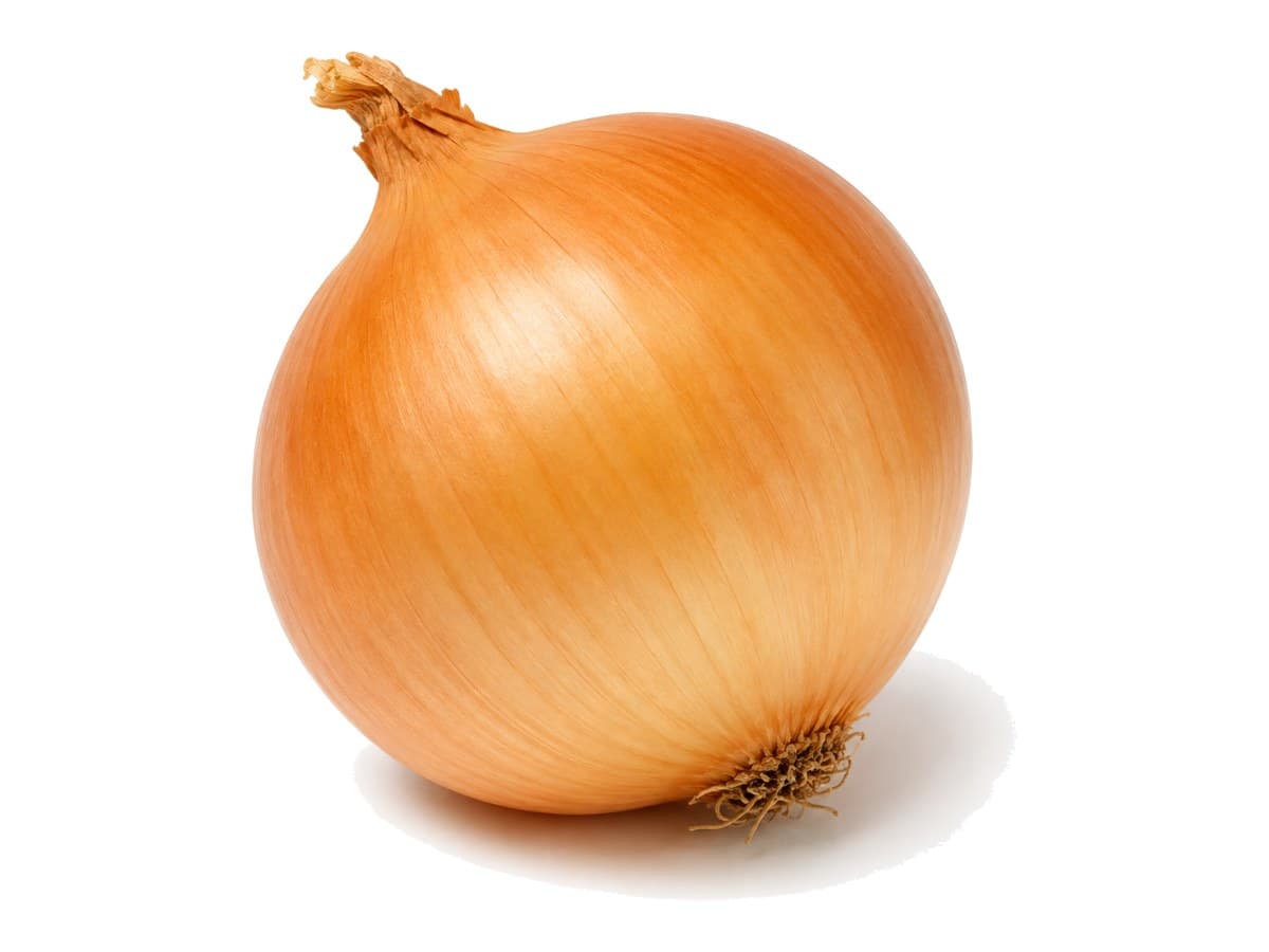 Onion