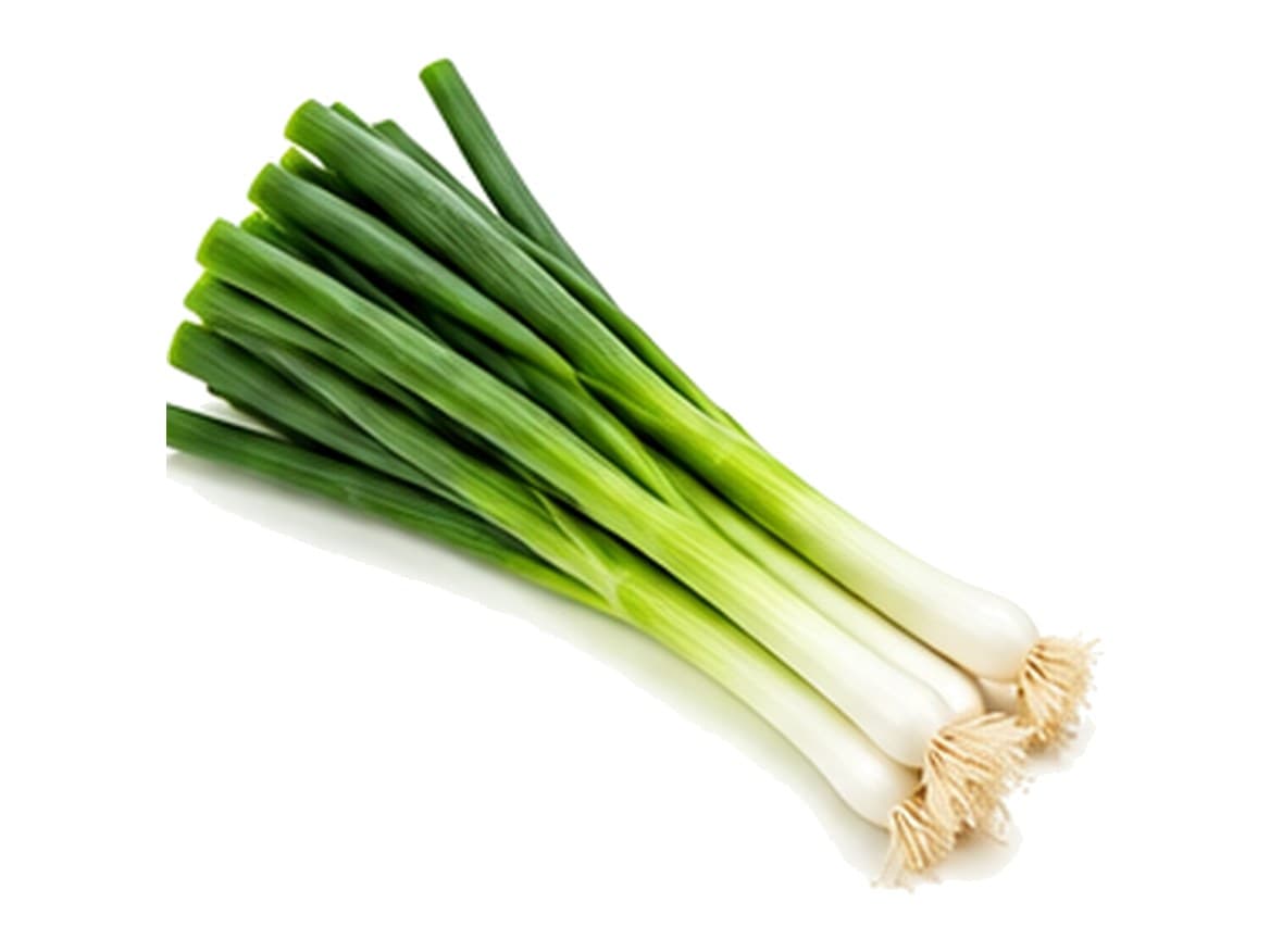Green onion (scallion)
