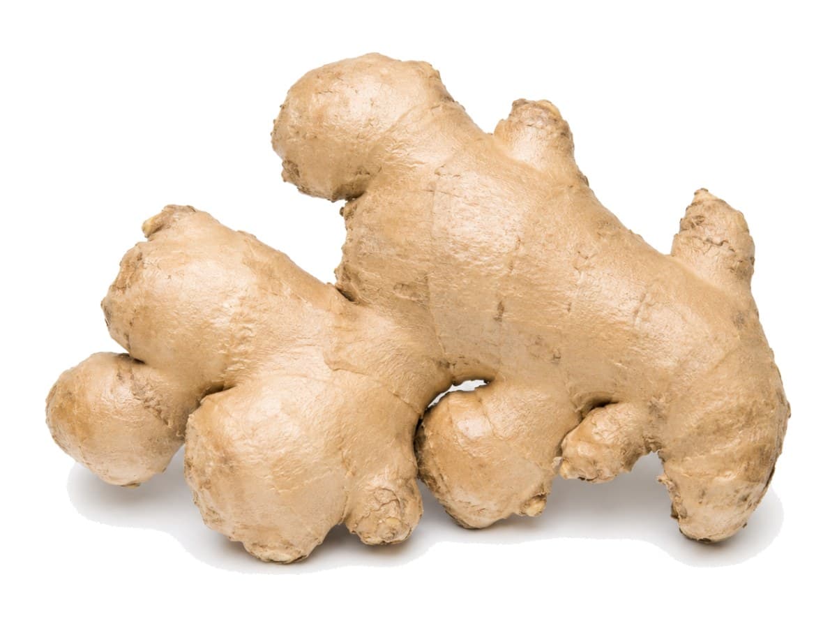 Ginger