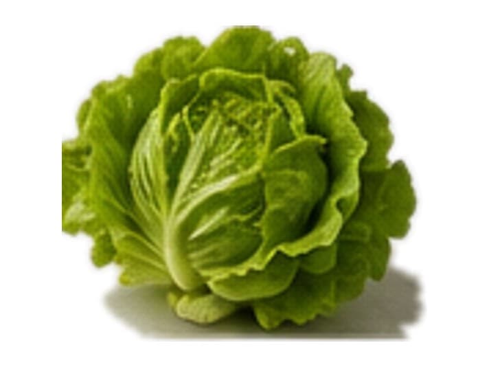 Lechuga nacional