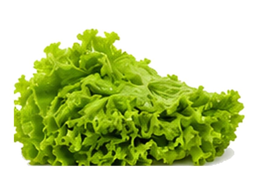 Local lettuce