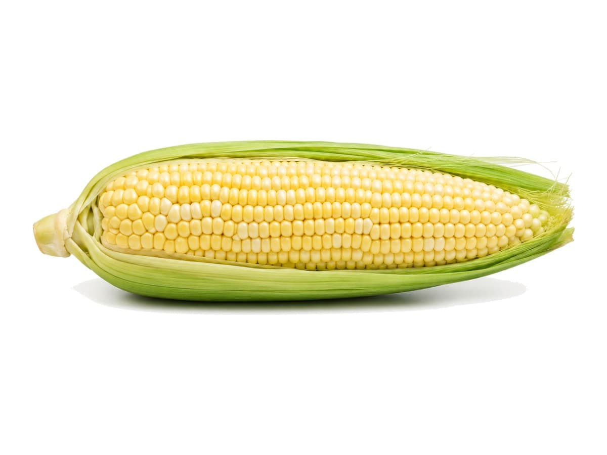 Corn on the cob