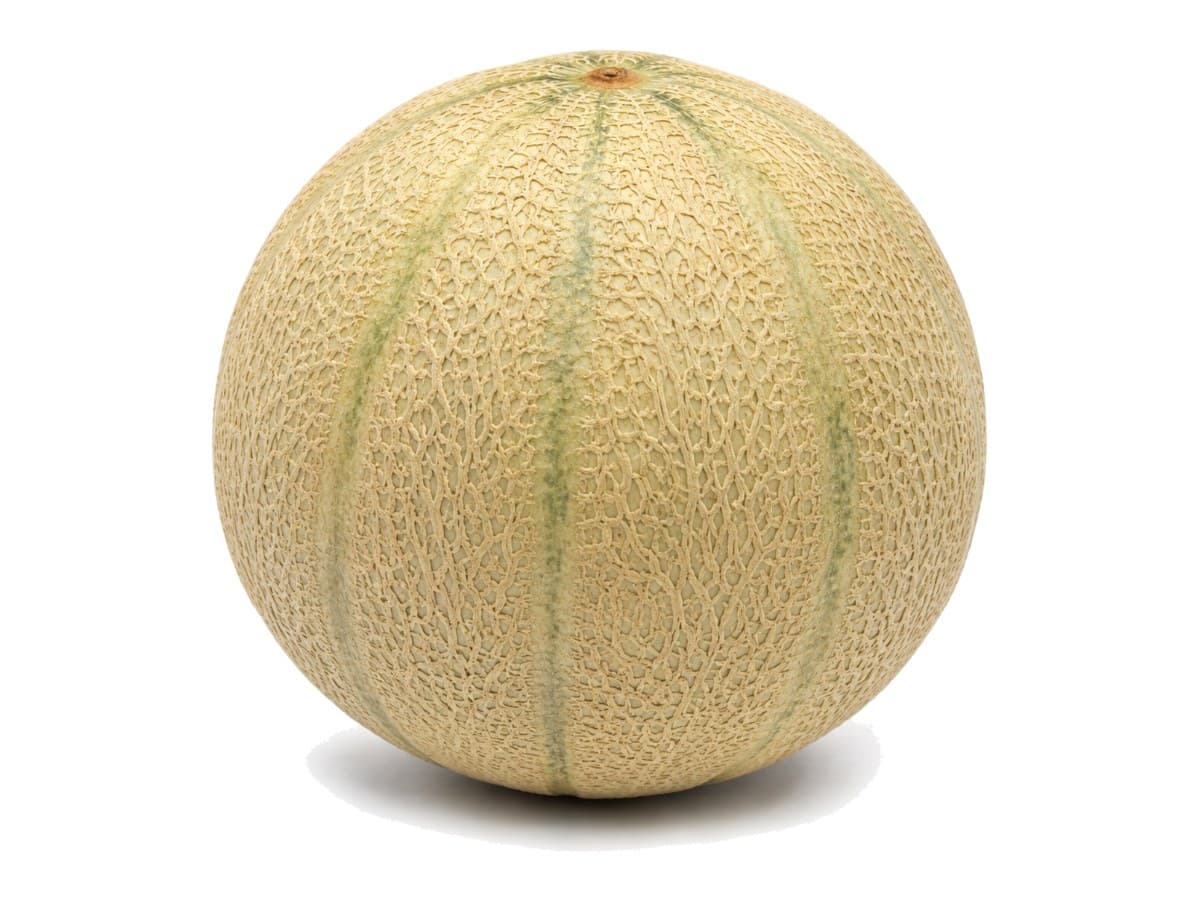 Melon