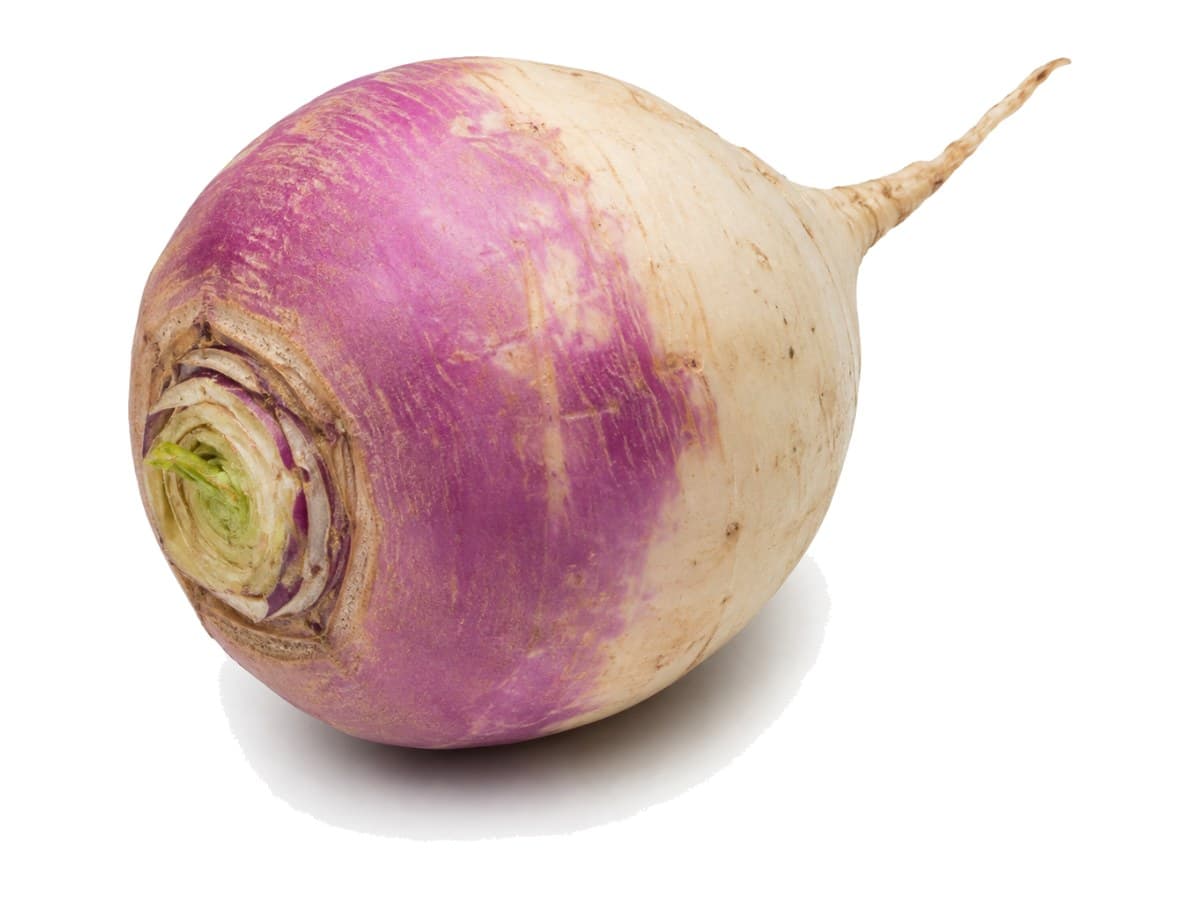 Turnip