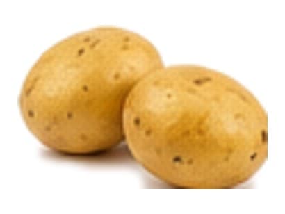 Papa