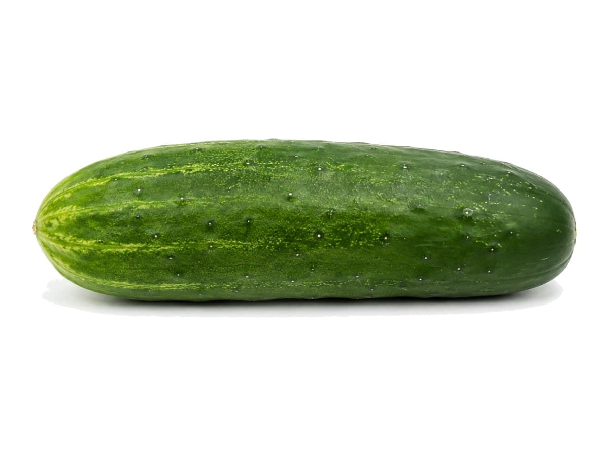 Cucumber