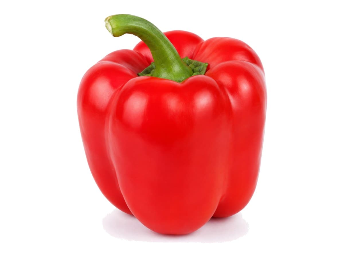 Red bell pepper