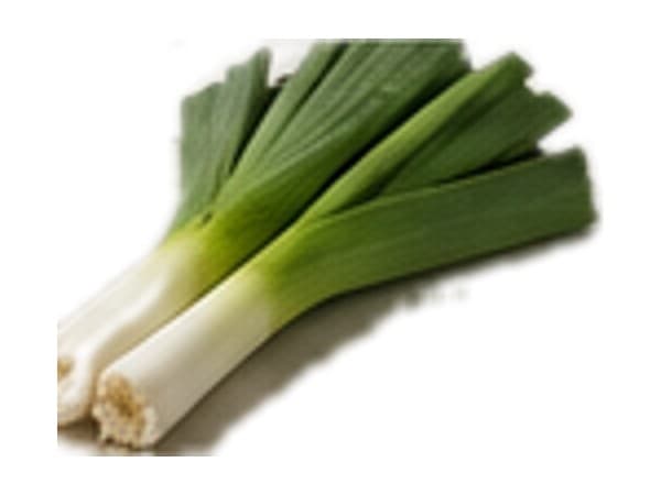Puerro