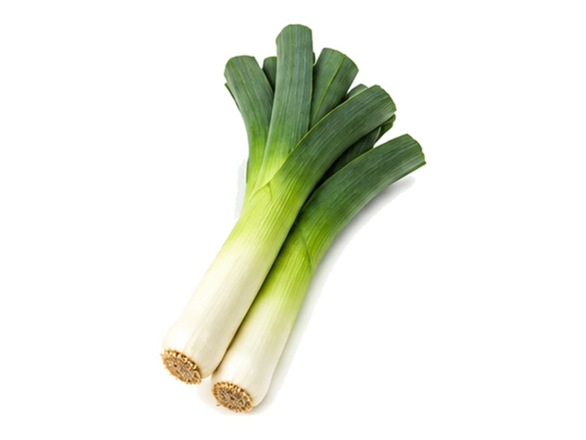 Leek