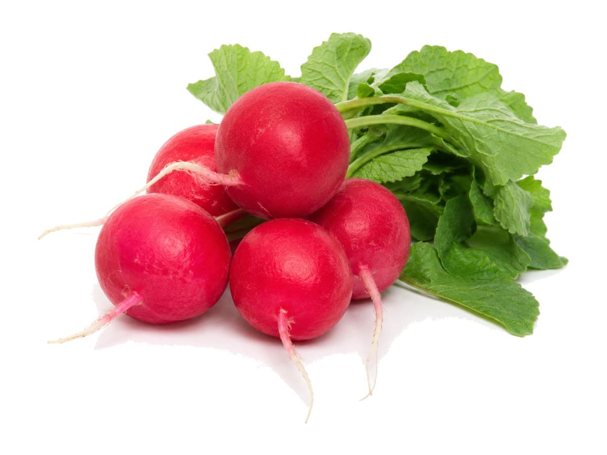 Radish