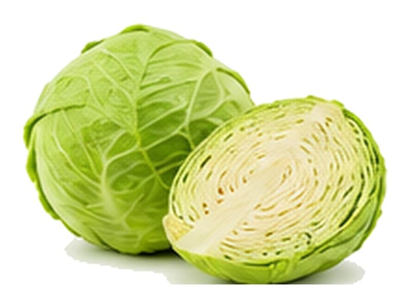 Cabbage
