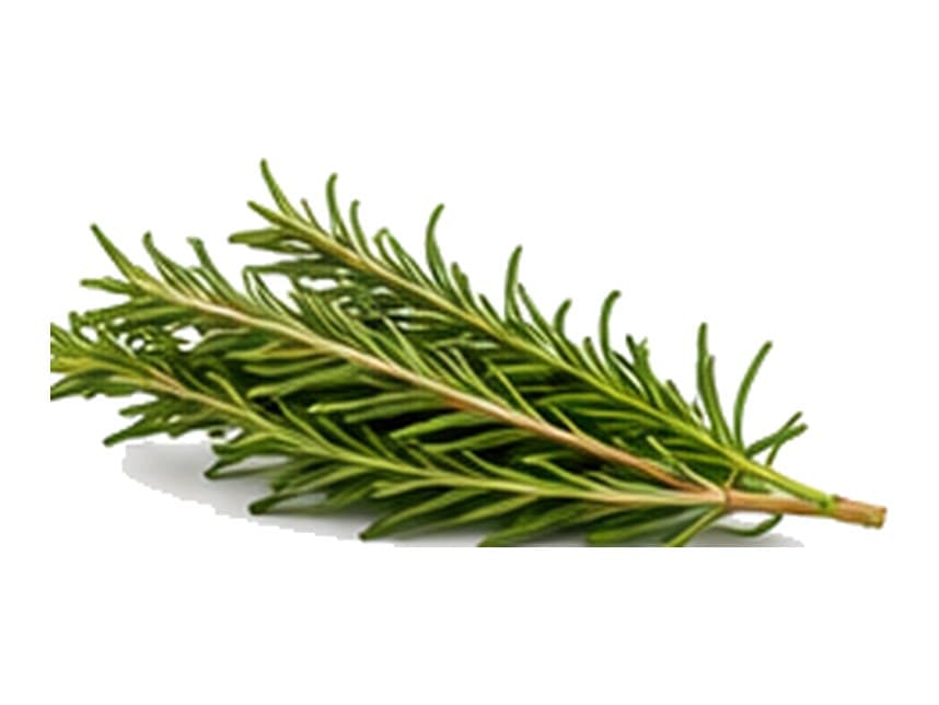 Rosemary