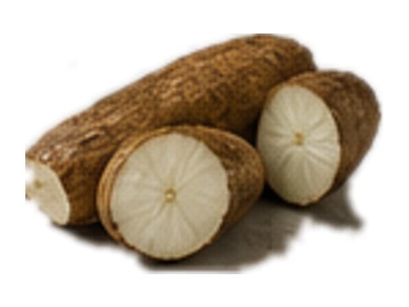 Yuca
